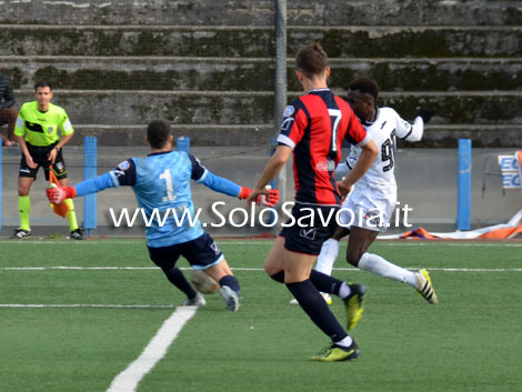 savoia-picerno18-19